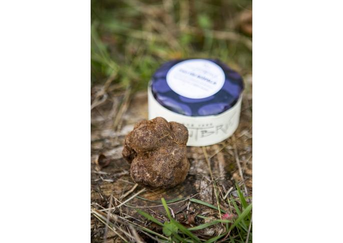 Tou de búfala cheese with black truffle 250g