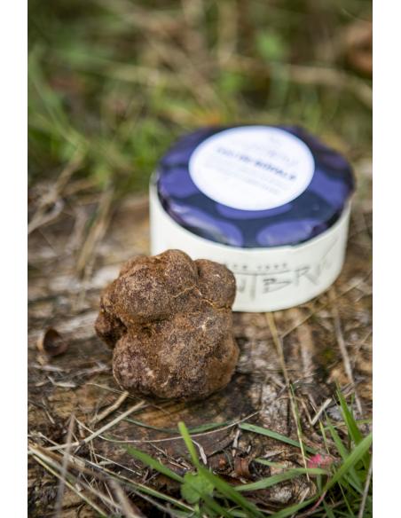 Tou de búfala con trufa negra 250g