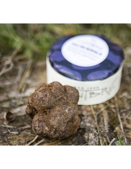 Tou de búfala amb tòfona 250g