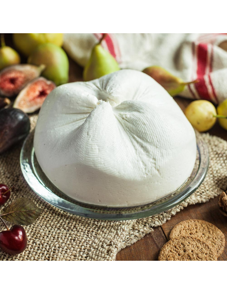 Goat fresh cheese 1,8 Kg