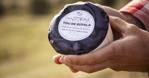 Nace el Tou de Búfala con Trufa: la novedad gastronómica de estas Navidades 